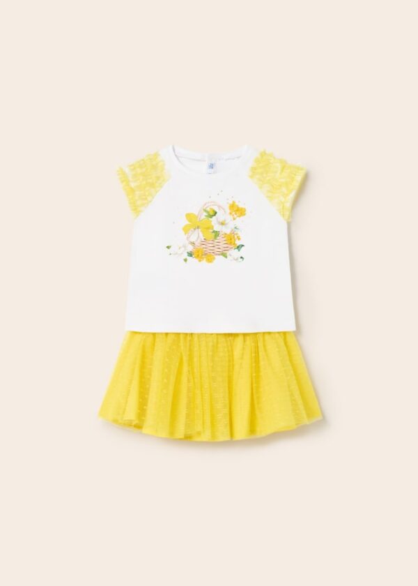 Set 2 piese cu fusta tul