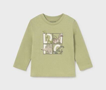 Tricou cu dinozauri